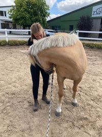 Pferdephysiotherapie Borstel-Hohenraden